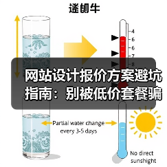 网站设计报价方案避坑指南:别被低价套餐骗了!(图4) 网站设计报价方案避坑指南:别被低价套餐骗了!(图4)