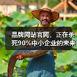 品牌网站官网,正在杀死90%中小企业的未来?(图4) 品牌网站官网,正在杀死90%中小企业的未来?(图4)