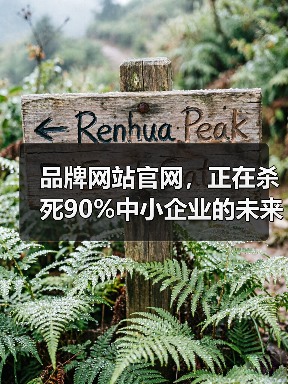 品牌网站官网,正在杀死90%中小企业的未来?(图3) 品牌网站官网,正在杀死90%中小企业的未来?(图3)