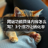 网站功能具体内容怎么写？3个技巧让转化率飙升187%