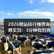 2026网站排行榜查询工具实测：3分钟找到真实数据（图1）