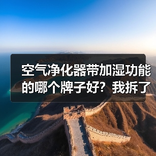空气净化器带加湿功能的哪个牌子好？我拆了7台机器后的答案（图3）