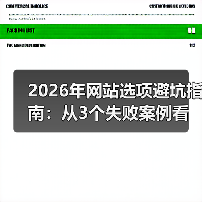 2026年网站选项避坑指南：从3个失败案例看透选型真相（图2）