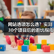 网站选项怎么选?实测30个项目后的避坑指南(图2) 网站选项怎么选?实测30个项目后的避坑指南(图2)