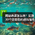 网站选项怎么选?实测30个项目后的避坑指南(图1) 网站选项怎么选?实测30个项目后的避坑指南(图1)