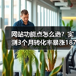 网站功能点怎么选?实测3个月转化率暴涨187%(图4) 网站功能点怎么选?实测3个月转化率暴涨187%(图4)