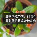 顾客功能价值：87%企业忽略的致命增长盲点（图1）