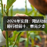 2026年实测：网站功能排行榜前十，看完少走3年弯路
