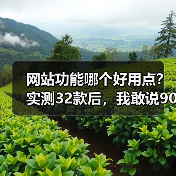 网站功能哪个好用点?实测32款后,我敢说90%的人选错了(图3) 网站功能哪个好用点?实测32款后,我敢说90%的人选错了(图3)