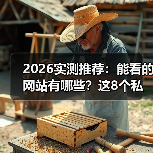 2026实测推荐：能看的网站有哪些？这8个私藏资源让同事追着我要链接（图2）