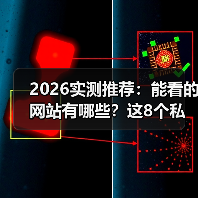 2026实测推荐：能看的网站有哪些？这8个私藏资源让同事追着我要链接（图4）