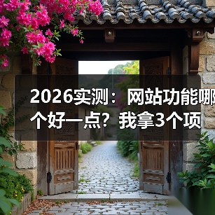 2026实测:网站功能哪个好一点?我拿3个项目换来的答案(图3) 2026实测:网站功能哪个好一点?我拿3个项目换来的答案(图3)