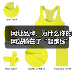 网址品牌,为什么你的网站输在了“起跑线”上?(图3) 网址品牌,为什么你的网站输在了“起跑线”上?(图3)