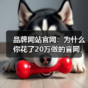 品牌网站官网:为什么你花了20万做的官网,转化率还不如隔壁老王?(图1) 品牌网站官网:为什么你花了20万做的官网,转化率还不如隔壁老王?(图1)