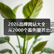 2026品牌网站大全：我从2000个案例里筛出这5个王炸