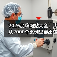 2026品牌网站大全：我从2000个案例里筛出这5个王炸（图2）