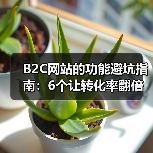B2C网站的功能避坑指南：6个让转化率翻倍的核心能力（图2）