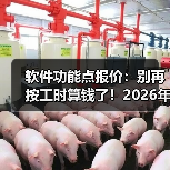 软件功能点报价：别再按工时算钱了！2026年新思路（图3）