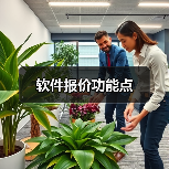 软件报价功能点