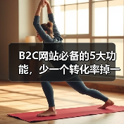 B2C网站必备的5大功能，少一个转化率掉一半