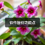 软件报价功能点(图3) 软件报价功能点(图3)