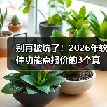 别再被坑了!2026年软件功能点报价的3个真相与1套反杀策略(图4) 别再被坑了!2026年软件功能点报价的3个真相与1套反杀策略(图4)
