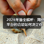 2026年最全解析：网络平台的功能如何决定你的商业成败？