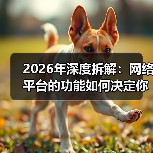 2026年深度拆解：网络平台的功能如何决定你的生意成败？（图4）