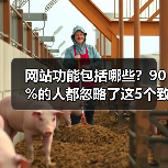网站功能包括哪些？90%的人都忽略了这5个致命盲区